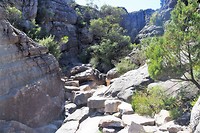 Onderweg door de "Grand Canyon"