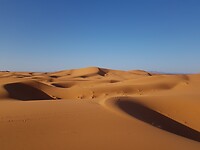 20211030_090529