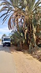 IMG-20211030-WA0006