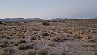 Wildcamp bij Persepolis