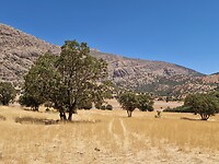Onderweg naar Bisheh waterval1