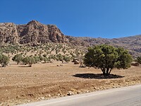 Zagros mtns