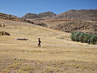 Zagros mtns: nomade