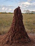 Milwane Wild Sanctuary: mierenhoop