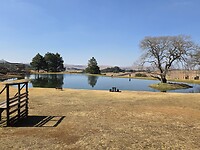 Dullstroom: Prey Bird & Rehabilitation Centre