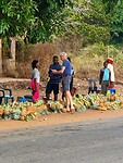 Kopen van de ananas