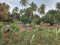 bewoning