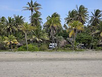 Camper verscholen tussen de palmen