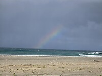 Regenboog