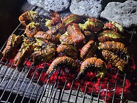 Gegrilde langoustines