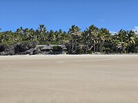 Strandhuis van riet