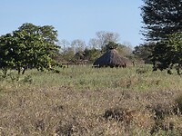 hut van riet