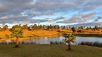 Campsite: Game Haven Lodge