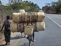 Vervoer van rieten manden per fiets