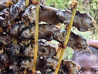 Gegrilde muizen