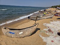 Houten kanos