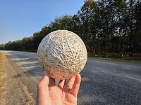 Rubber bal gekocht