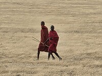 maasai mannen