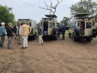 N-Serengeti: Jeeps staan klaar voor vertrek