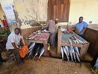 Stonetown: Vismarkt-barracuda
