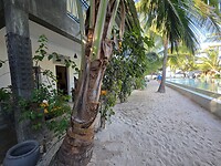 Jambiani: Casa Beach hotel