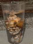 Onze schelp met krab