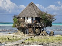 ZO-kust Zanzibar: The Rock