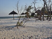 Kae Funk Sunset beach