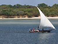 Dar es Salaam: passerende dhow