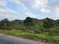 Zeer vruchtbare en groene landschap