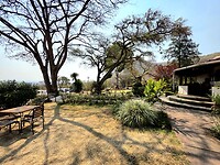 Utengule Coffee lodge: tuin