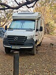 Bavianen bij de camper