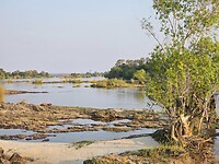 Zambezi rivier