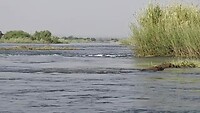 met de motorsloep naar Livingstone Island