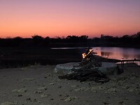 Bushbuck camp: zonsondergang