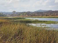 Matopo N.P.: Sandyspruit Camp