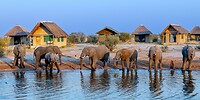 Elephantsands: Poel en olifanten