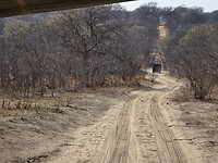 Chobe N.P.