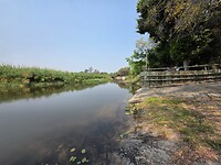 Okavango delta: Swam stop