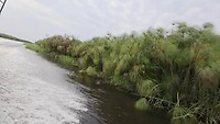 Okavango delta: Met de speedboot naar de house-boot