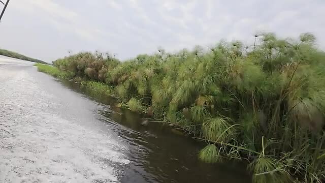 Okavango delta: Met de speedboot naar de house-boot