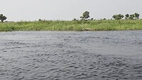 Okavango delta-Seronga: Mokoro safari