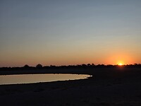 Zonsopkomst bij een waterhole