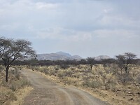 Onverharde weg naar Erongo Mountains Winery