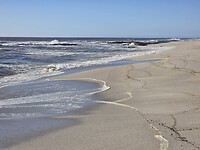 Strand Muisbosskerm