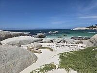 Simonstown/Boulders Beach: Afrikaanse pinguins