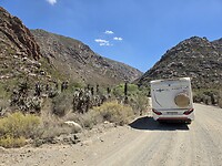 Gravelroad Seweweekspoort: speciale cacteeën