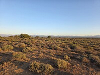 Scenic Route R62