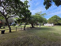 Knysna: camping Woodbourne resort