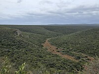 Addo N.P.
